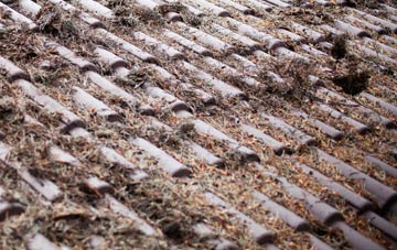 Highbury roof cleaning companies